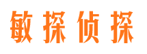 陆良市调查公司